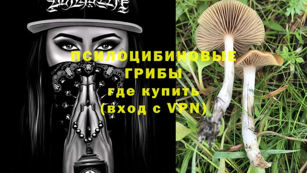 соль ск Верхний Тагил