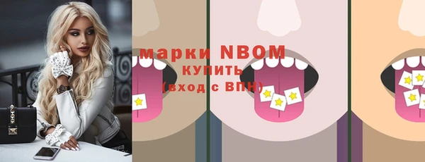стаф Володарск