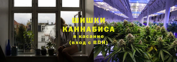 соль ск Верхний Тагил